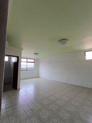 Windy Heights (D14), Condominium #458589641